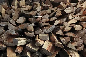 Split Firewood Prints: Firewood, split logs