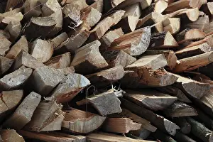 Firewood Logs Prints: Firewood, split logs