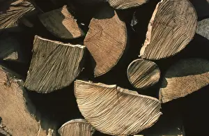 Split Firewood Prints: Firewood, split logs