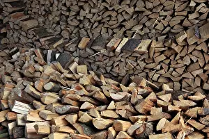 Wood Pattern Structure Prints: Firewood, split logs