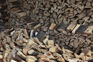 Wood Structure Pattern Prints: Firewood, split logs