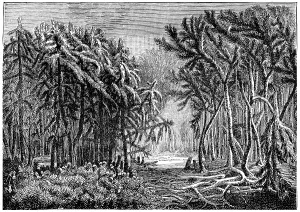 Vintage Style Landscape Photography Prints: The first forests. Devonian period