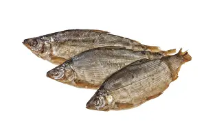 Studio Shot Of Fish Prints: Fish on an isolated studio background