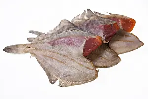 Studio Food Photography Prints: Fish on an isolated studio background