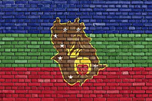 Venezuela Prints: Flag of Amazonas State Print on Brick Wall