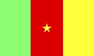 Cameroon Prints: Flag of Cameroon Print