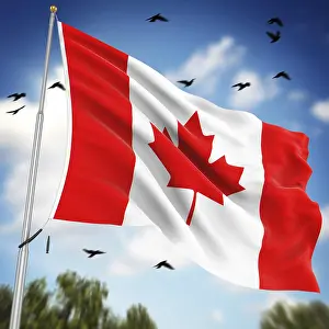 Canada Travel Photography Prints: Flag of Canada, This is a computer generated and 3d rendered image