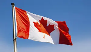 Canadian Flag Prints: The flag of Canada flutters in the wind