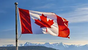 Canadian Flag Prints: The flag of Canada flutters in the wind