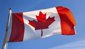 Digital Composing Art Prints: The flag of Canada flutters in the wind