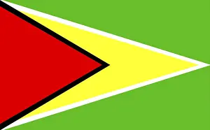 Latin America Flags Prints: Flag of Guyana
