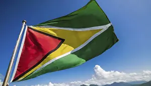 Isolated National Emblem Prints: The flag of Guyana, fluttering in the wind