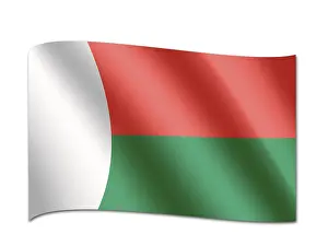 Symbolic National Emblem Prints: Flag of Madagascar