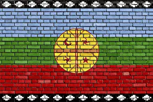 Latin America State Flags Prints: Flag of Mapuche painted on brick wall