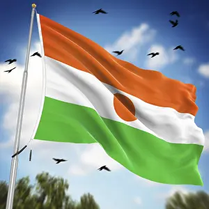 Niger Prints: Computer Generated Print of the Flag of Niger
