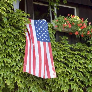 American Flag Prints: Flag of the USA