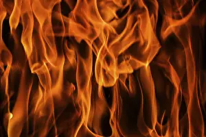 Black Background Flames Prints: Flames of fire on a black background