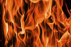 Firewood Burning Prints: Flames of fire on a black background