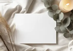 Images Dated 8th July 2024: Flatlay Print with White Copy Space