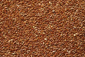 Healthy Eating Patterns Prints: Flaxseed