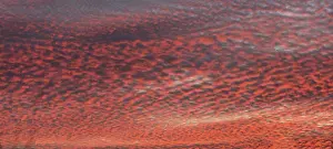 Bavaria Germany Weather Prints: Fleecy clouds (Altocumulus) in the evening cloudy sky
