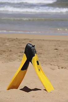 Sandy Waterfront Scene Prints: Flippers on a beach