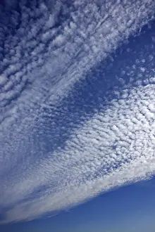 Cloud Blanket Prints: Fluffy clouds or cirrocumulus clouds