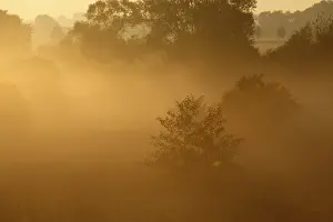 Misty German Countryside Prints: Fog over the meadows against the light