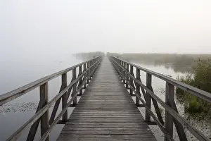 Swamp Landscape Photography Prints: footbridge