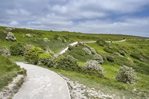 Rocky Shoreline UK Prints: Footpath along the chalk cliffs of Dover