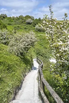 Atlantic Ocean Viewpoint Prints: Footpath along the chalk cliffs of Dover