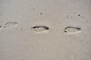 Deserted Spanish Shoreline Prints: Footprints in the sand on a beach