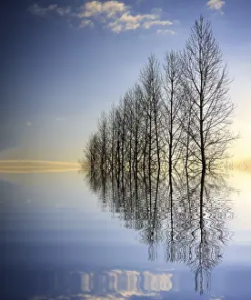 Open Air Landscapes Prints: Forces of nature