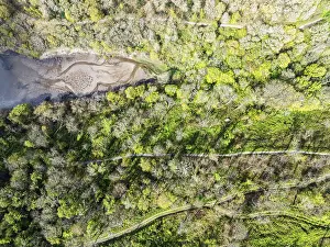 Drone Photography Devon England Prints: Top Down over Forest from a drone