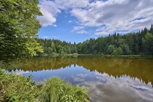 Cloudy Sky Reflections Prints: Forest lake, reflection, sky, clouds