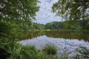 Carinthia Austria Prints: Forest lake, reflection, sky, clouds