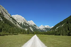 Karwendel Mountains Scenery Prints: Forest path in the Karwendel valley