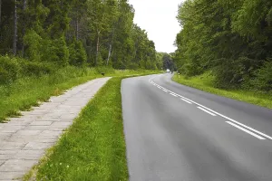 Deserted Highway Prints: The forest road
