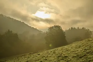 Schneeberg Mountain View Prints: Forest, valley, meadow, clouds