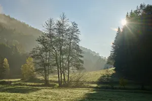 Central European Sunrise Scene Prints: Forest, valley, meadow, clouds