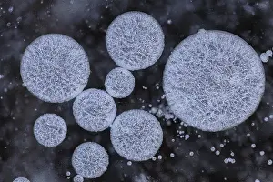 Goldenstedter Moor Landscape Prints: Forms of ice in a puddle, ice crystals