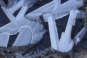 Natural Preserve Images Prints: Forms of ice in a puddle, ice crystals