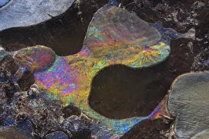 Winter Nature Scene Prints: Forms of ice in a puddle, ice crystals