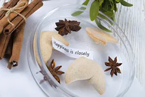 Fortune Cookie Prints: Fortune cookie