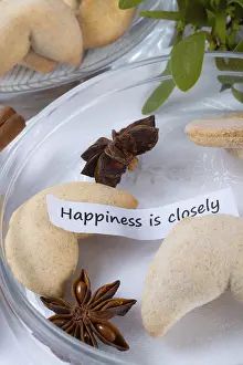 Fortune Cookie Prints: Fortune cookie
