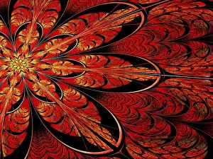 Multicoloured Fractals Prints: Fractal flower - abstract computer-generated image
