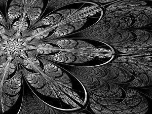 Abstract Art Prints: Fractal flower - abstract computer-generated image