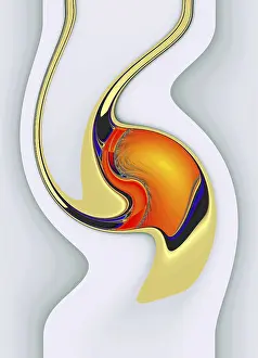 Computer Graphic Design Prints: Fractal graphics, abstract