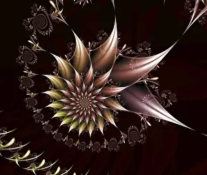Digitally Generated Images Prints: Fractal object