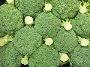 Brassicaceae Plant Prints: Fresh broccoli